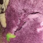 Snuggy Blanket Hoodie photo review