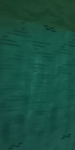 2 Pcs Shortswear Fitness Sleeveless Workout Suit photo review